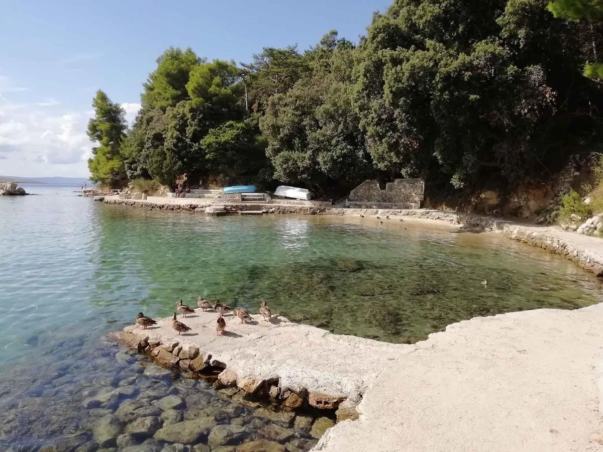 Apartment In Lopar/Insel Rab 36121 Croatia